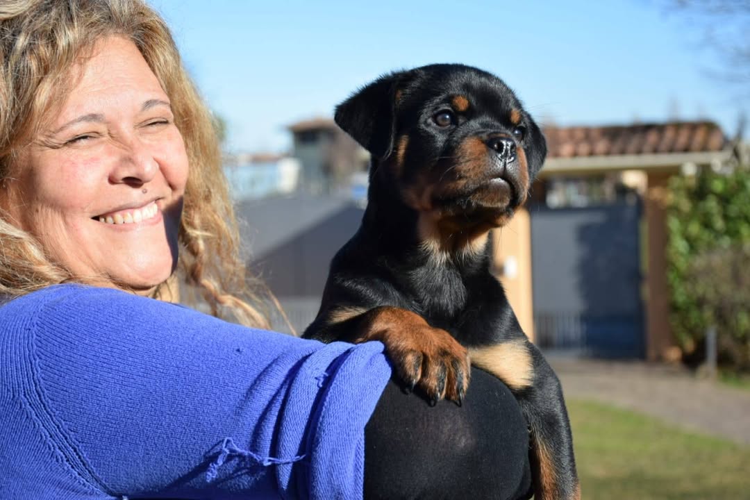 Rottweilers Von der Antischlaf