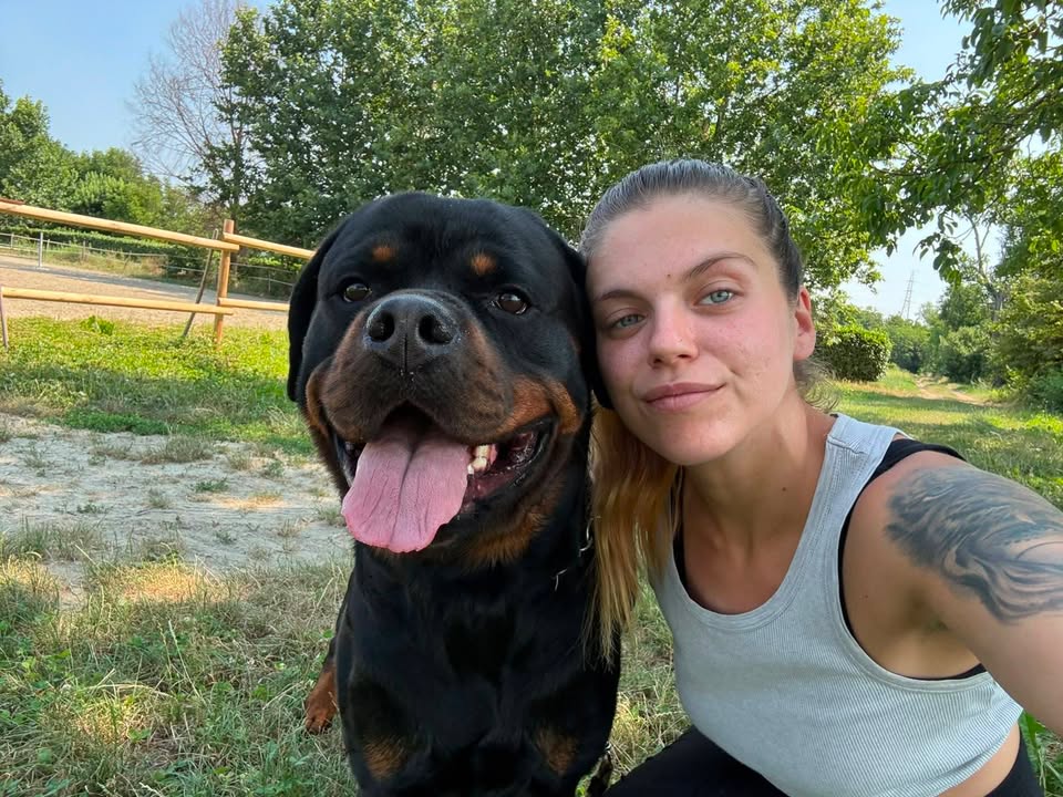 Rottweilers Von der Antischlaf